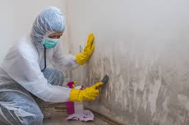 Trusted Wildewood, MD Mold Removal & Remediation Experts